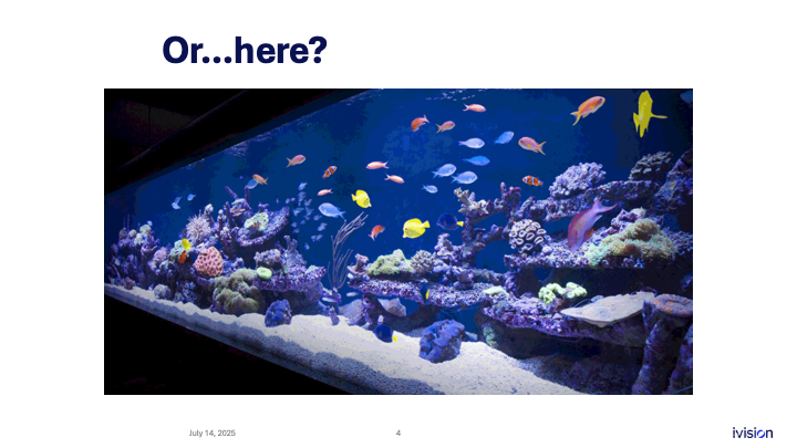 Image of a large, brightly lit aquarium filled with colorful fish and coral. Text "Or...here?" is at the top. The water appears clear, showcasing various marine life in a blue-themed setting.